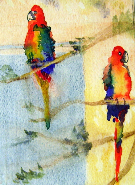 A Pair of Parrots