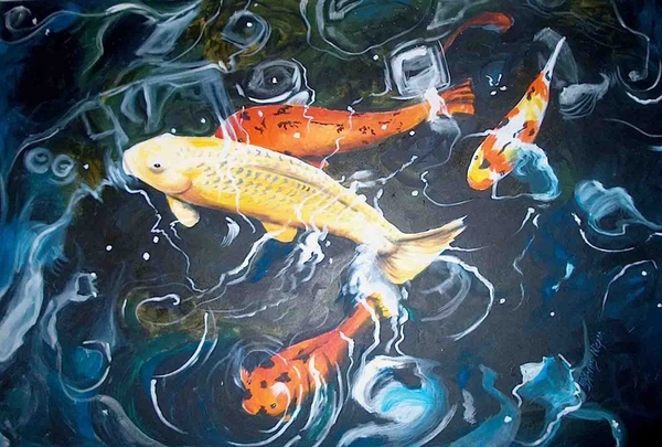 Backyard Koi