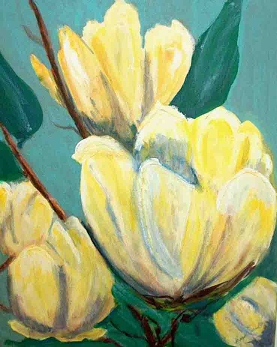 YELLOW MAGNOLIAS IN THE SPRING