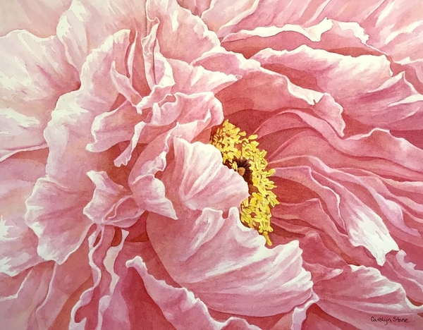 Peony2