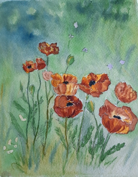 Poppies