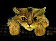 PUSSY CAT painting