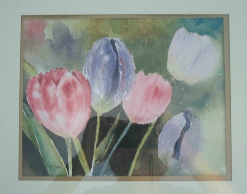 tulips